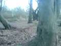 louie on pit bike track