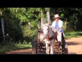 Más allá de la Semana Santa (Bolivia)