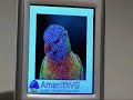 AmanithVG 1.0 on Nokia N93 (SymbianOS S60 3rd v9.1)