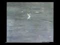 Trout Taking a Mayfly Trout Taking a Mayfly