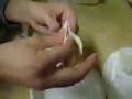 videos de How to make Gyoza