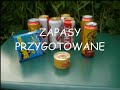wisla troli