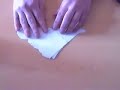 Origami Techniques: Perfect Square Origami Techniques: Perfect Square