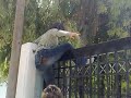 Mia wraia mera mia kopela apofasise na......