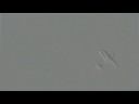 Alexander Balzer RC Airplane Sukhoi 50E Sebart Alexander Balzer RC Airplane Sukhoi 50E Sebart
