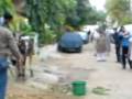 COW KICK burewala
