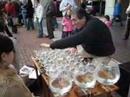 Glass Harp 2