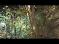 IBARAKI MUSEUN - JAPÃO