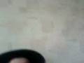 videos de zoro.3gp
