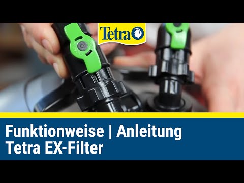 So funktioniert ein Aquarium-Filter I TETRA EX-Filter