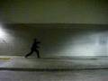 videos de 翻子拳練習(Wushu practice)