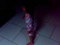 videos de torto.mpg