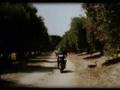 videos de DONKEYS TIME - A HORA DO BURRO - HUMOR!