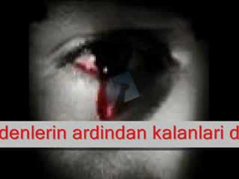 aysun