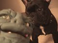 Dog Bites Boglin