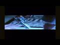 videos de bloed zweet en tranen