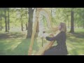 Harp Elegance by Eva