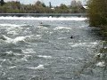 videos kayak