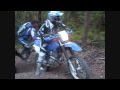 Yamaha WR250 - Watagans Trail Bike Ride  - 28th March 2009