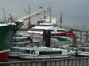 hamburg-ooo7- haffen hamburg-ooo7- haffen