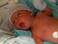 videos de Michael Jr's Arrival