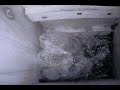 Cute Screech Owl Family Jamboree (re-edited)