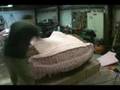 Building the Bailey Blade part 6 -- Foaming part 5