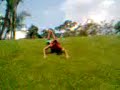 Alanzinho Maikinho Cardinho 1