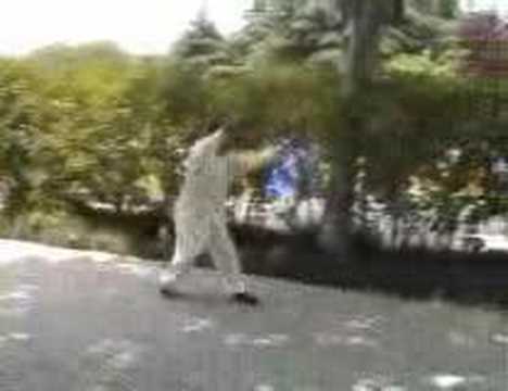 Hsing-Yi Quan He Bei Style Double ...