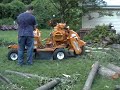 Diesel Lombardini Bandit Stump Grinder in Action