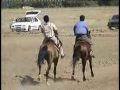 Rahvan At Yar??lar? (pacing horse race) Rahvan At Yar??lar? (pacing horse race)