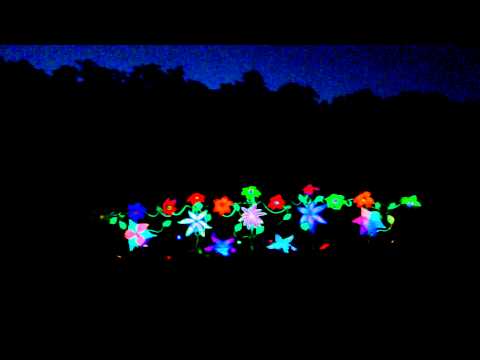 PlanetBENrecords - Pszilhedelic Crew party video https://www.facebook.com/pszilhedelic Y-Production Party https://www.facebook.com/Y.Production.Hungary.