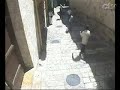 Terrorista é morto em Jerusalém - comentado