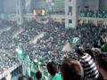 Panathinaikos fans - Horto Magiko show