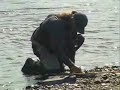 Flugfiske i fjällen! Flugfiske i fjällen!
