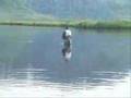 Flugfiske i fjällen!