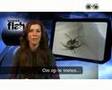 videos de ScienceFlash 21 - 7 maart '08
