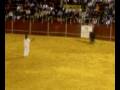 videos de fiestas fuenlabrada.isrra primer recorte.mp4