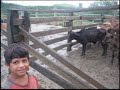LAS PAMPAS OLANCHANAS LAS PAMPAS OLANCHANAS