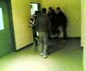 video ringtones
