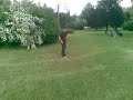 B-twist