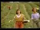 Laura Secord