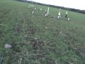 Dusk Launch - G69 Skidmark  Tomahawk | Stanard ARM