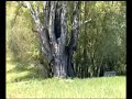 ısparta,yalvaç,hüyüklü,ayazmana