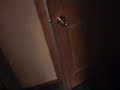 Poltergeist - Door Poltergeist - Door