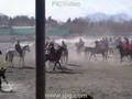 Buzkashi Contest