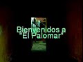 Thumbnail #3