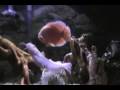 videos de 175 Gallon Freshwater Tank