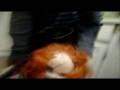videos de when chucky came to my house