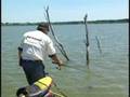 Crappie Fishing Ray Roberts Texas Timber